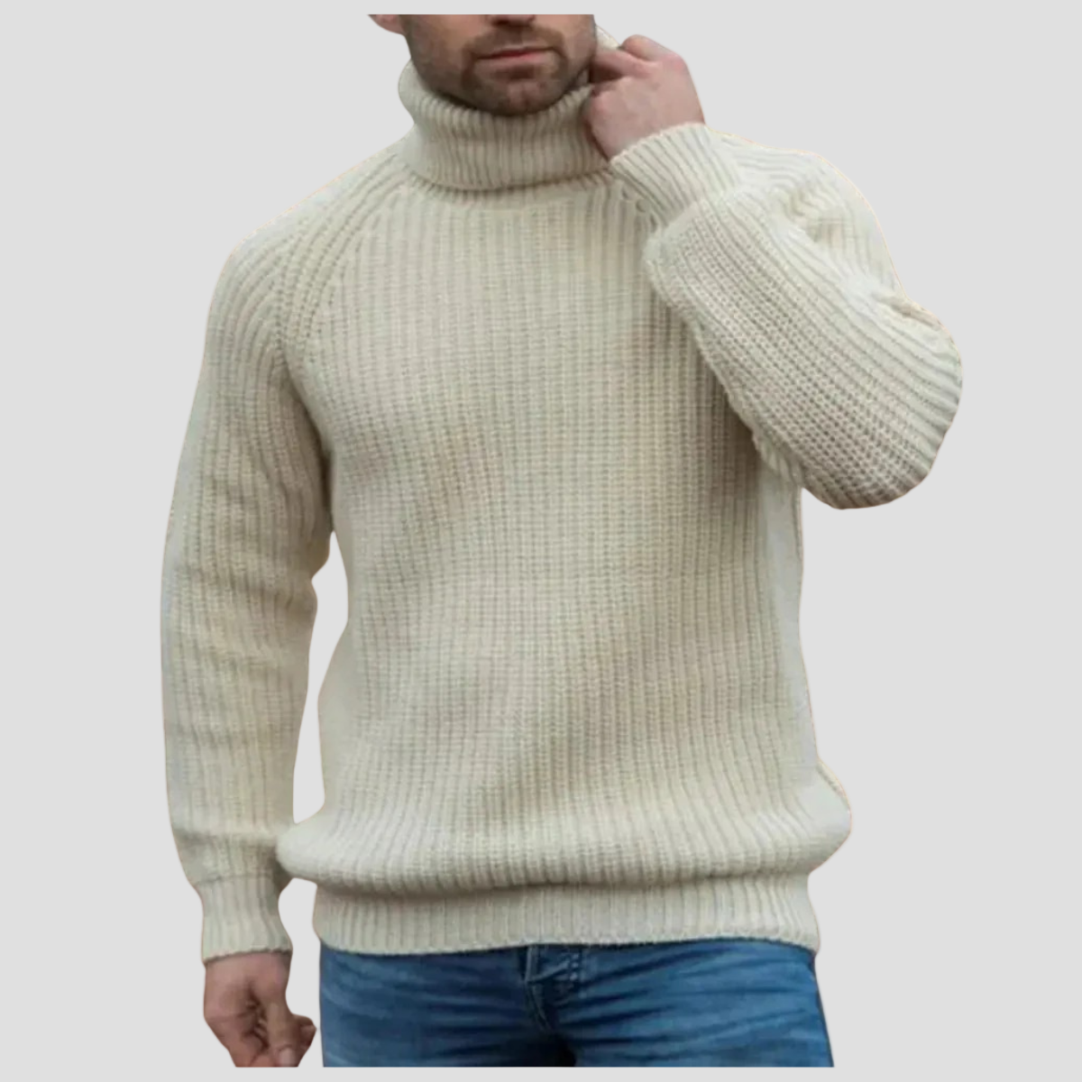 Tanner | Chunky Wool Turtleneck Sweater