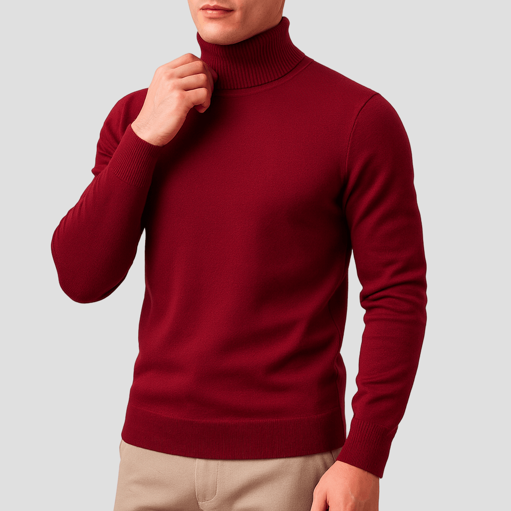 Trenton | Solid Turtleneck Sweater