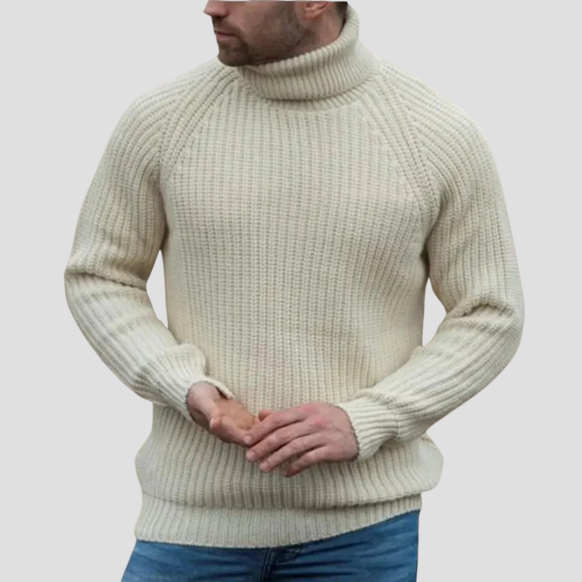 Tanner | Chunky Wool Turtleneck Sweater