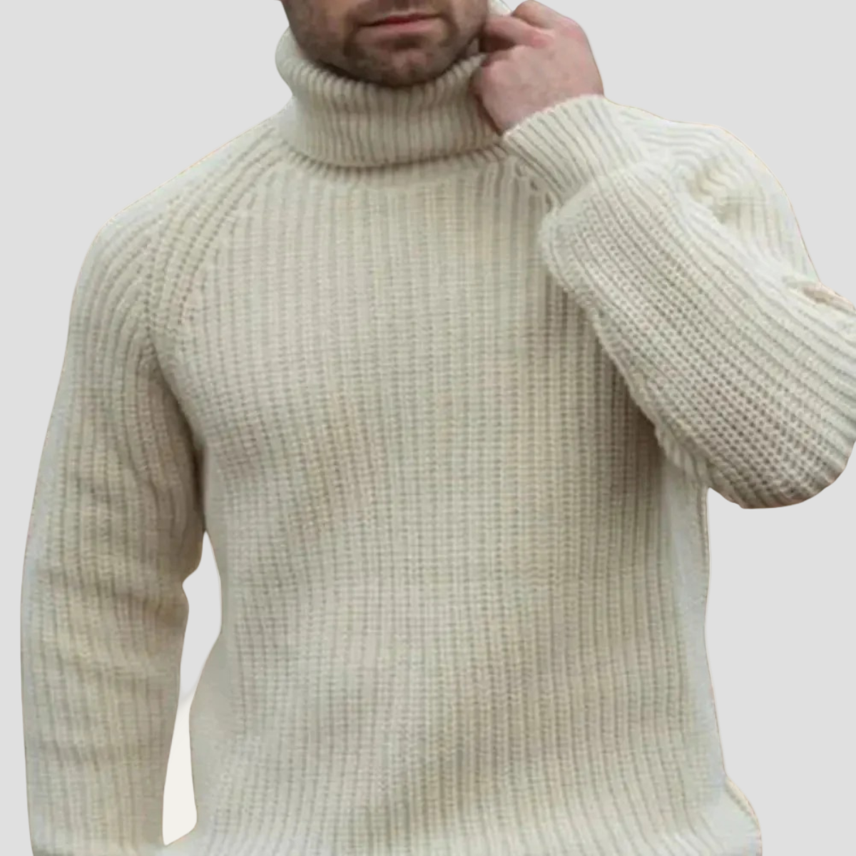 Tanner | Chunky Wool Turtleneck Sweater