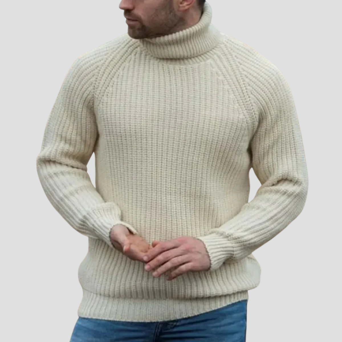 Tanner | Chunky Wool Turtleneck Sweater